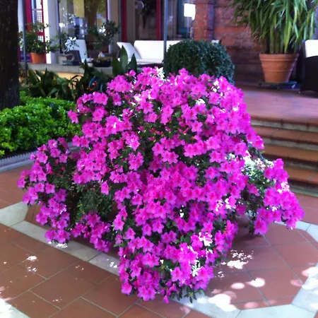 Hotel Reale-3