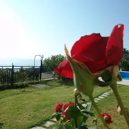 Aronis Apartments-3