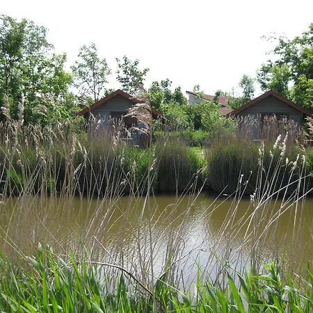 Bed&Breakfast De Zeehoeve-2