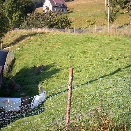 Gasthof Erlenhof-3
