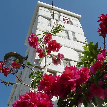 Anna Platanou Hotel-2