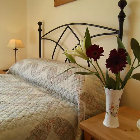 Seafield House B&B-2