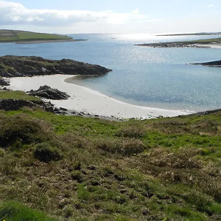 Seafield House B&B-3