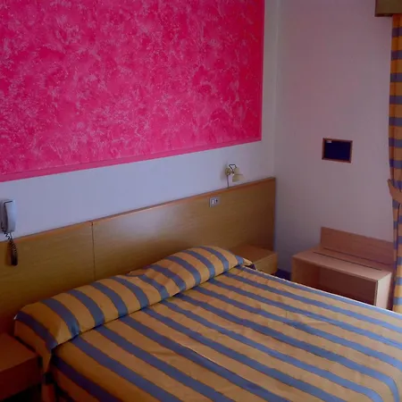 Hotel Altinate-3