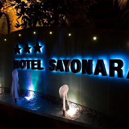 Hotel Sayonara-3