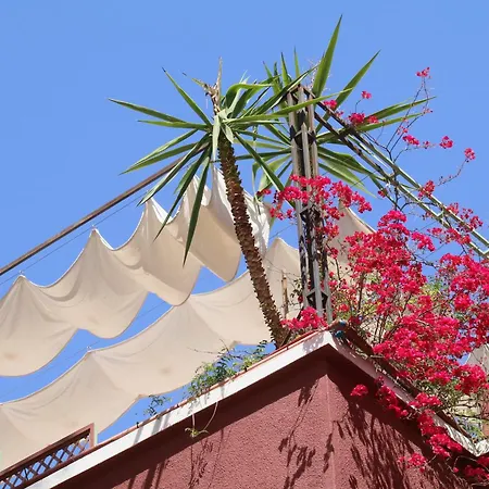 Riad Celia-2