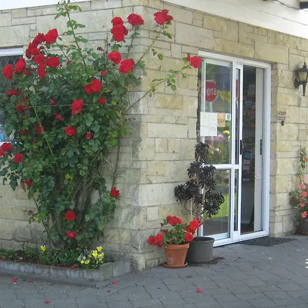 Rose Court Motel-3