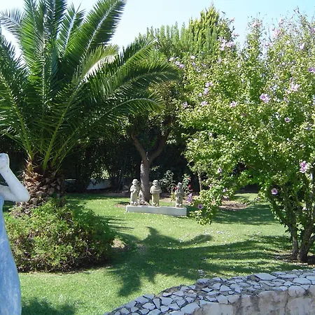Quinta Dos Oliveiras-2