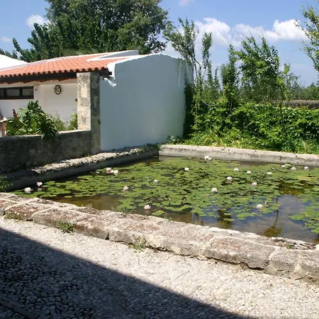 Oasis Guesthouse-2