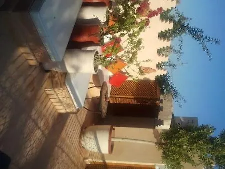 Riad Rabahsadia-2