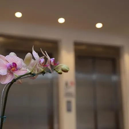 Grand Crucero Hotel-3
