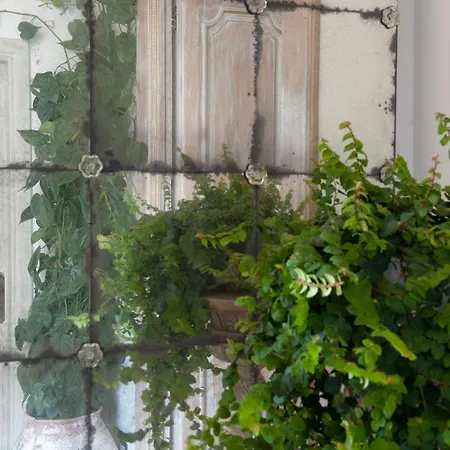 Casa Buonocore-3