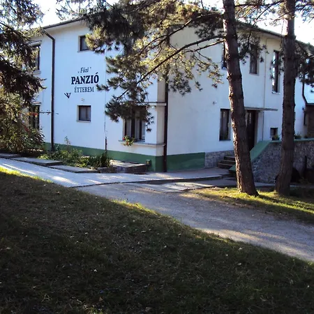 Füzi Panzió-3