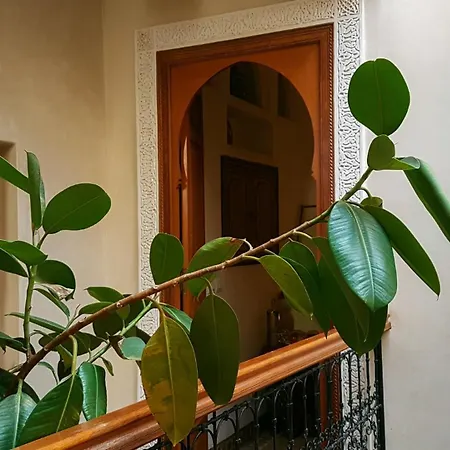 Riad Gallery 49 & Spa-3