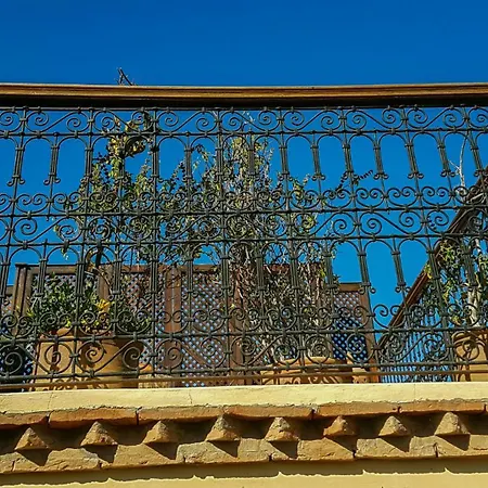 Riad Gallery 49 & Spa-3