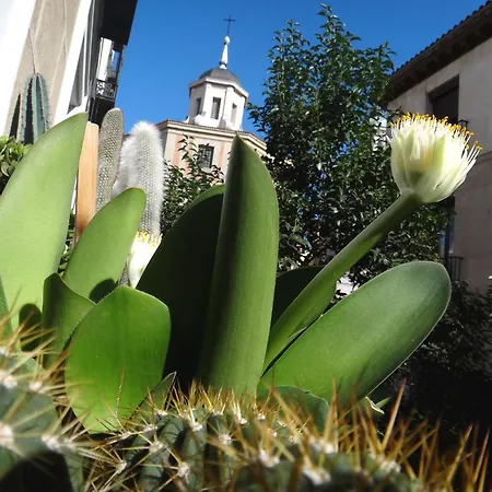 Hostal Horizonte Madrid "Check-In On-Line, Recepcion 14H-23H"-2