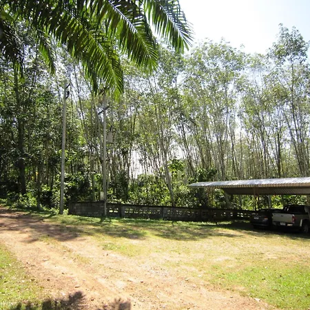 Phanom Bencha Mountain Resort-3