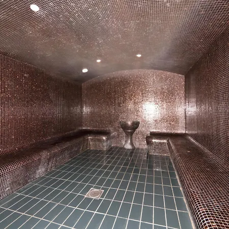 Villa Thermae Thonon-Les-Bains-3