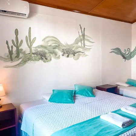 Hotel Coral Blanco With High Speed Internet Starlink And Galapagos Tour Operator-2