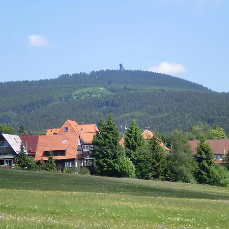 Pension Haus am Wald-3