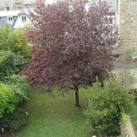 B&B Maison Angélus-2