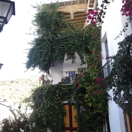 Pension El Torreon-3