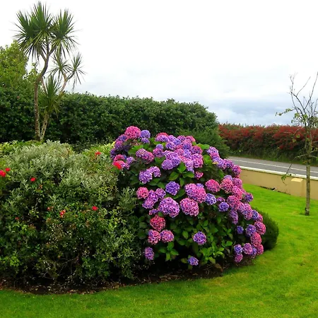 Cill Bhreac House B&B-3