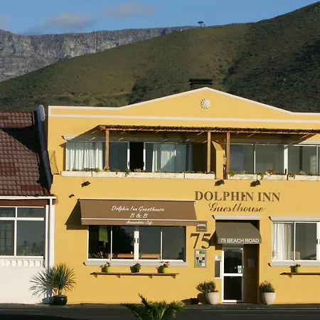Dolphin Inn Guesthouse-2