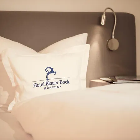 Hotel Blauer Bock-2