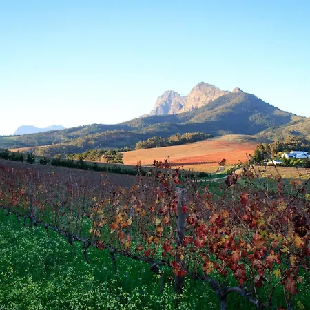 Marianne Wine Estate-3