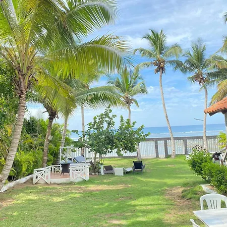 D' Franchesis Hostal-2