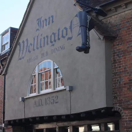 The Wellington-2