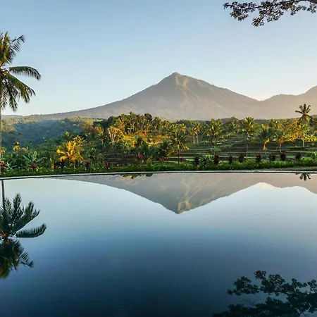 Ijen Resort&Villas - The Hidden Paradise-3