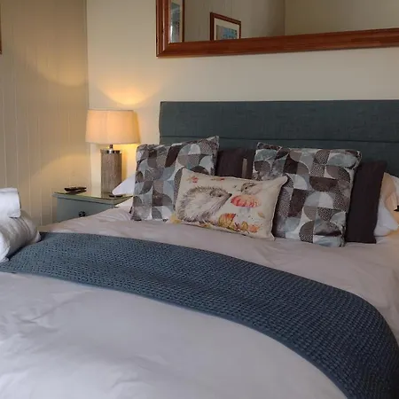 Plas Tan Y Graig B&B Guest House Beddgelert-2