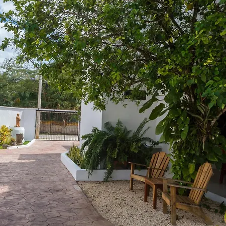Hotel Boutique Casa Xaan-3