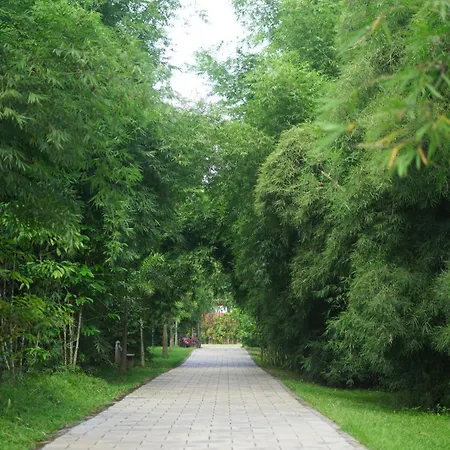 Coffee Greens Resort-3