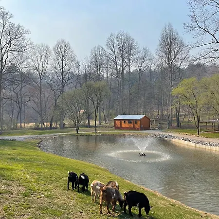 Cobb Creek Cabins-3
