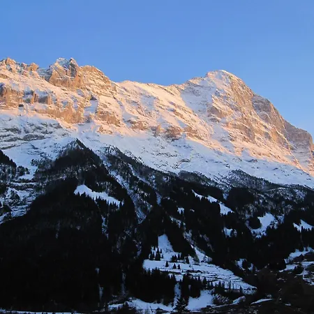 Hotel Bernerhof Grindelwald-2