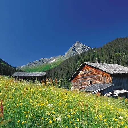 T3 Alpenhotel Garfrescha-2