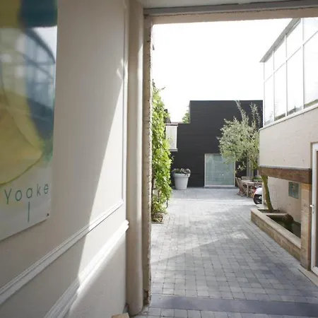 B&B Wellness Yoake-3