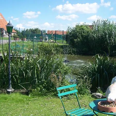 Hove Ter Hille-3