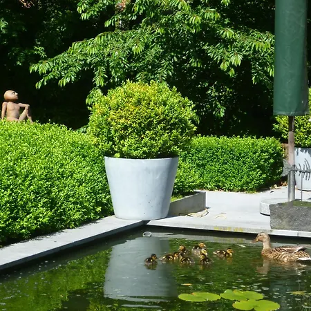 B&B Speelmansrei-2