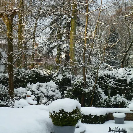B&B Speelmansrei-3