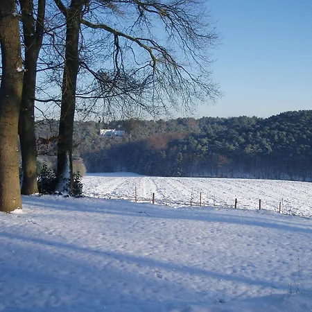 Le Goupil-2