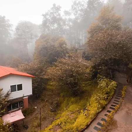 Mount Paradise Nature Stay-3