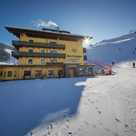 Hotel Gungau-3