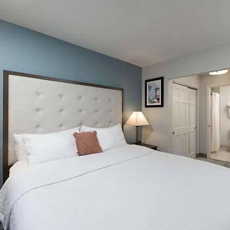 Homewood Suites By Hilton Boston/Andover-3