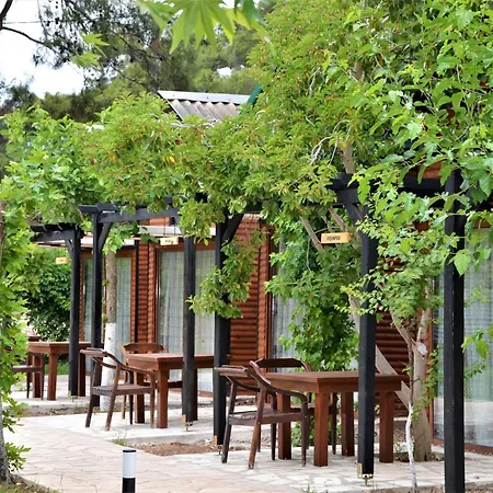 Koala Bungalows-2
