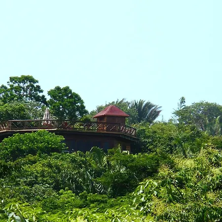 Roatan Bed & Breakfast Apartments-3