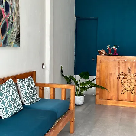 Bougainvillea Inn - Maldives-2